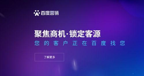 安徽网新科技集团